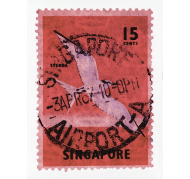 Heidler & Heeps - 15 Cents Singapore Sterna Bird Pink - courtesy of TAG Fine Arts