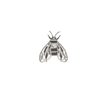 Closed Wings Bee