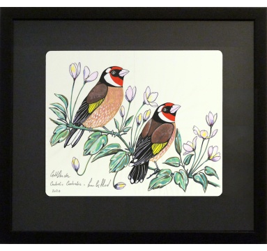 Fran Giffard - Goldfinch and Clematis - courtesy of TAG Fine Arts