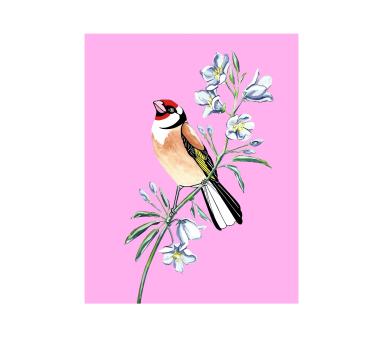 Goldfinch and Bellflower