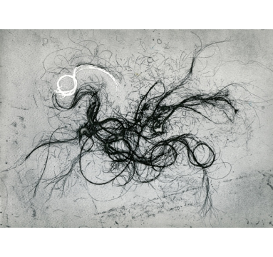 Limited edition etching - The Entangled Self 7 - Susan Aldworth